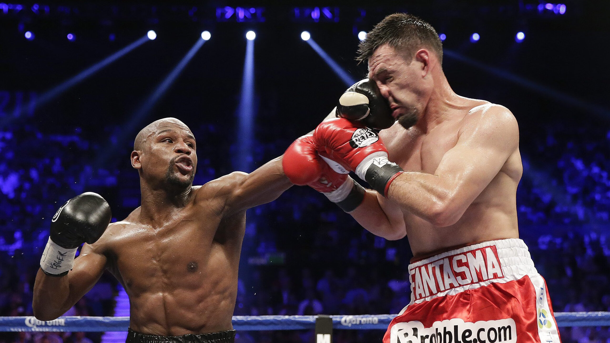 体育焦点报道引发粉丝热议,体育焦点事