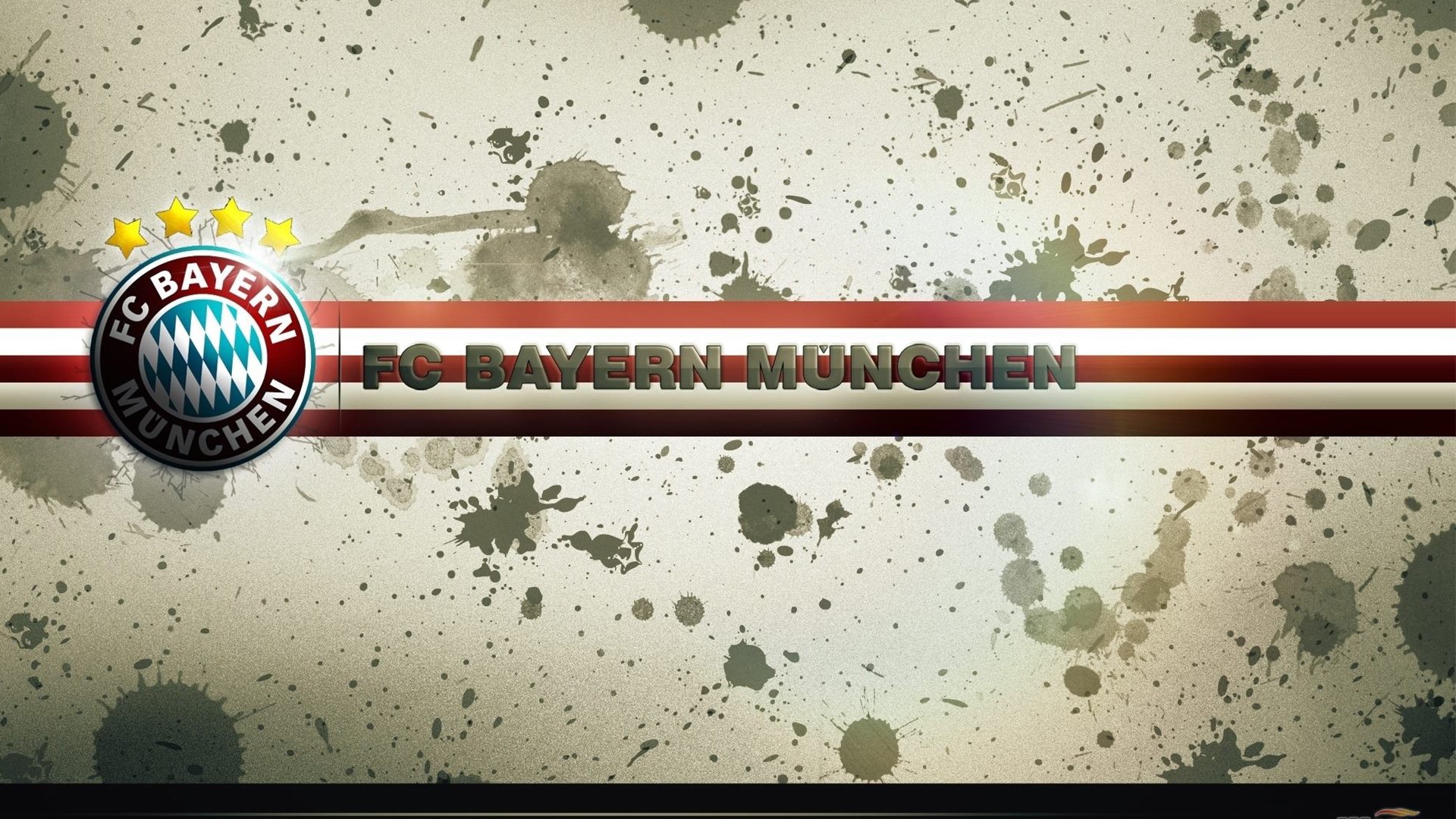 南非橄榄球青训体制进一步加强,人才储备充足,南非橄榄球队赢世界杯